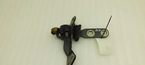 BMW X6 E71 Tailgate/trunk/boot hinge 7175830