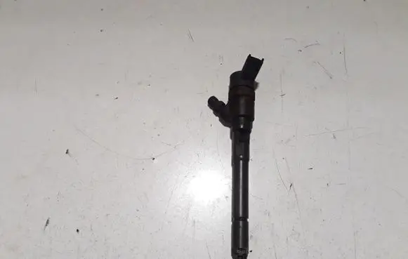 KIA Carens II Fuel injector 044510258 3380027400