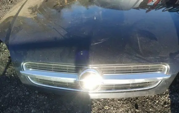 Opel Vectra C Front grill