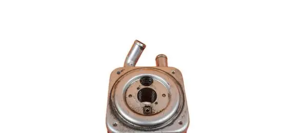 Hyundai Santa Fe Engine oil radiator D4EB