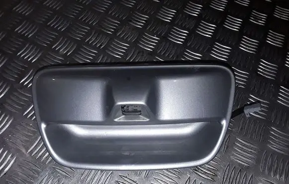 Nissan Leaf I (ZE0) Tailgate trim 906063NL1B