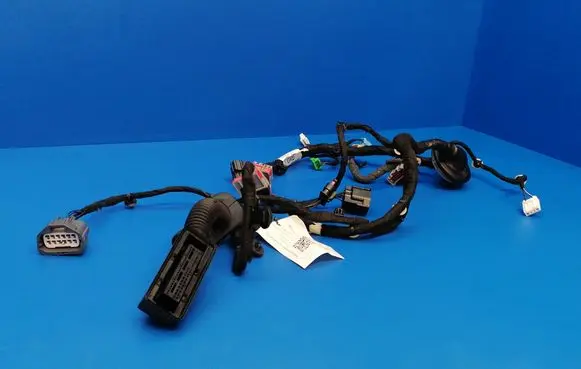 Front door wiring loom