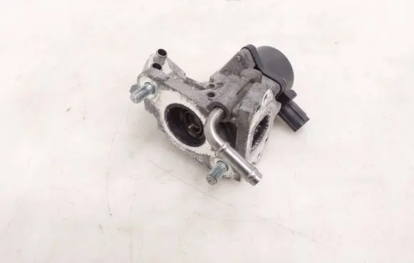 Toyota RAV 4 (XA50) EGR valve 2562024050