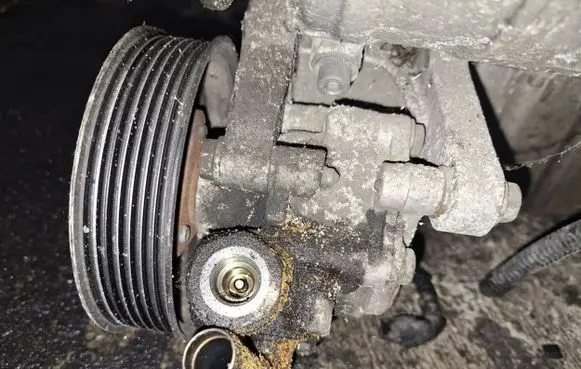 Volkswagen Phaeton Power steering pump 07d145256e