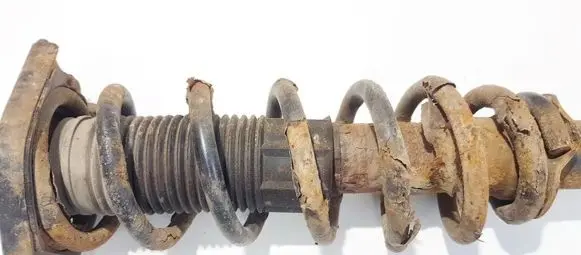 Toyota Corolla Verso AR10 Rear coil spring