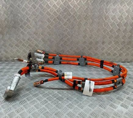 Mercedes-Benz EQE v295 Other wiring loom A2955407106