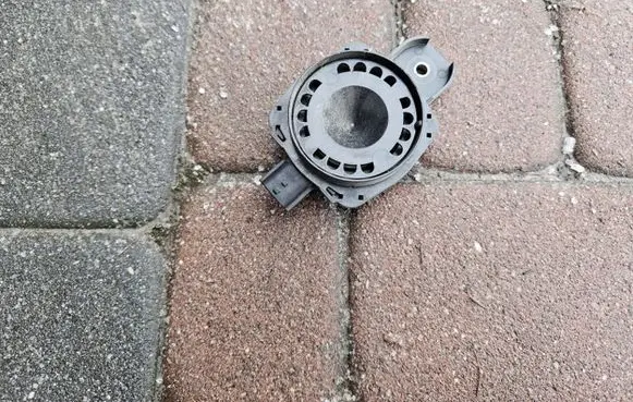 Renault Megane IV Alarm system siren 256400001R