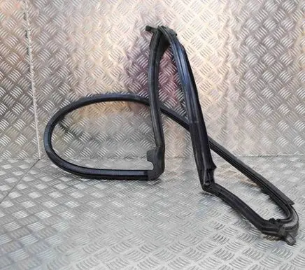 Tesla Model S Rubber seal rear door TMSPU03