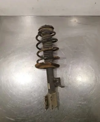 Peugeot Partner Front shock absorber with coil spring 824904003911 01533R03 12818004
