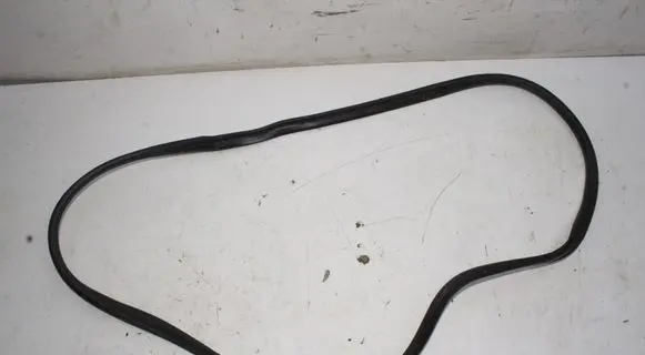 KIA EV6 Rubber seal front door (on door) 