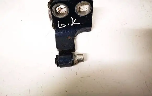 Rear door lower hinge