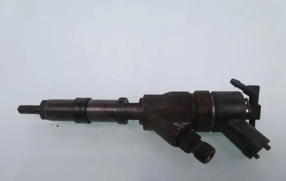 Peugeot 406 Fuel injector 9640088780
