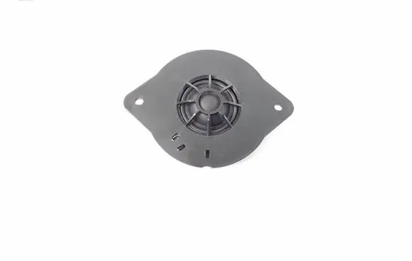 Audi Q5 SQ5 Front door speaker 8R0035399