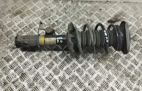 Front shock absorber with coil spring