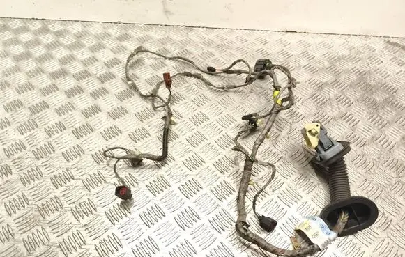 Ford Mustang V Front door wiring loom 4r3t14630bl
