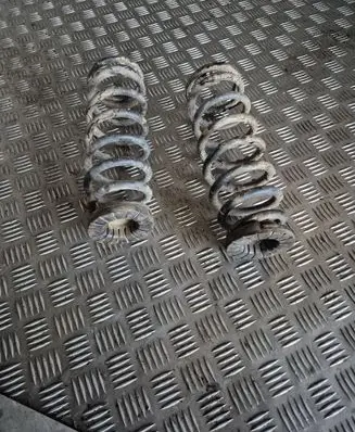 Hyundai Sonata Rear coil spring