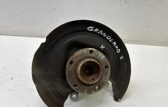 Opel Grandland X Rear wheel hub 9829261780
