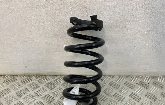 Rear coil spring