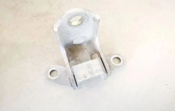 Rear door lower hinge