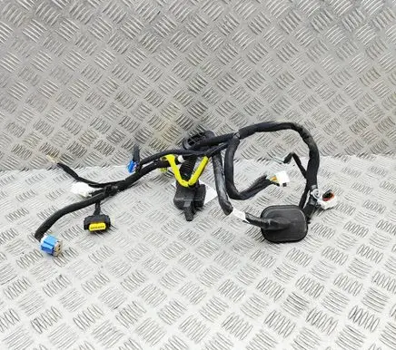 Genesis GV60 Front door wiring loom 91600CU070