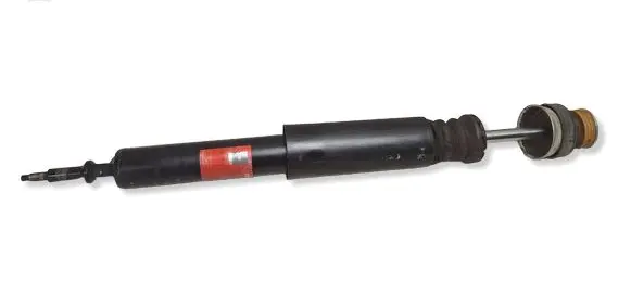 Volkswagen PASSAT B6 Rear shock absorber/damper 