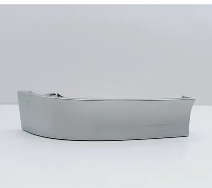 Rear/tail light trim molding