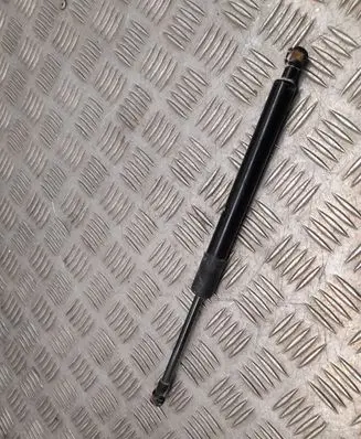 Ford F150 Tailgate strut 