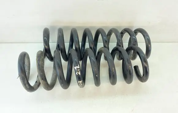 Rear coil spring