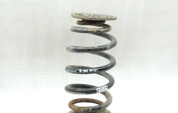 Rear coil spring