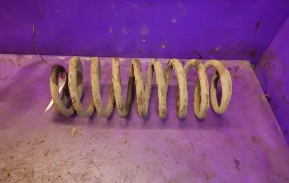 Seat Toledo II (1M) Rear coil spring