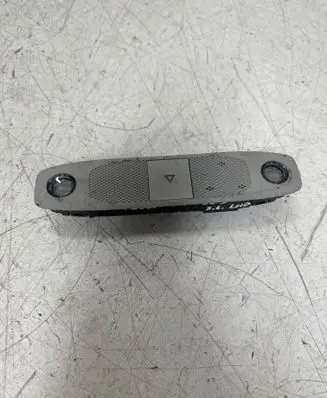 Tesla Model 3 Front seat light P109257300K
