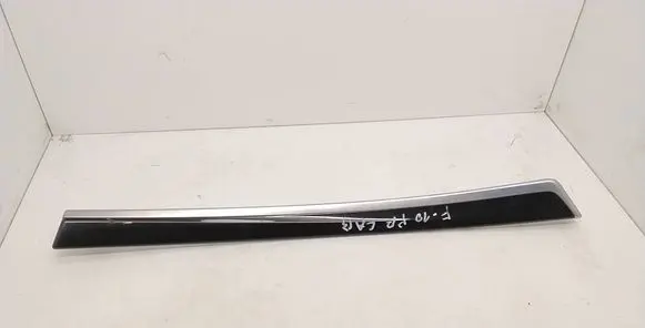 BMW 5 F10 F11 Front door trim (molding) 9171782