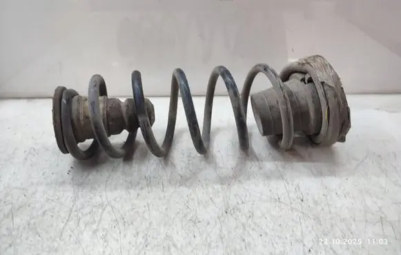 Citroen Berlingo Rear coil spring