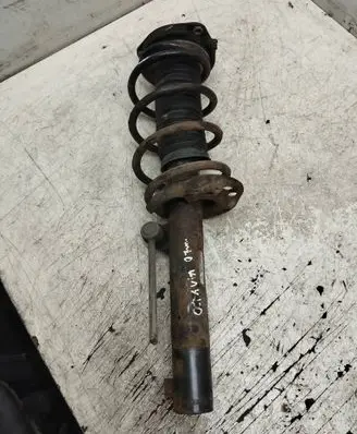 Skoda Octavia Mk2 (1Z) Front shock absorber with coil spring