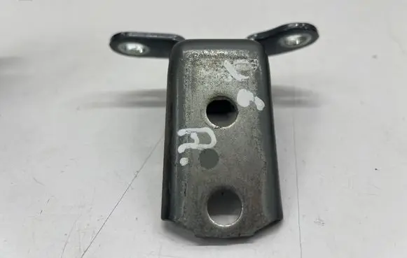 Rear door lower hinge