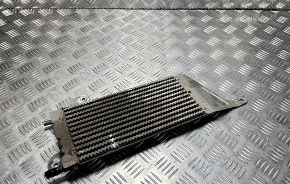 Ford Edge II Fuel cooler (radiator) DG21071