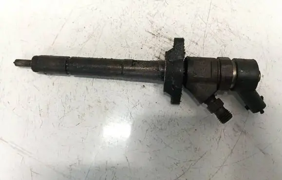 Citroen Xsara Picasso Fuel injector 0445110239