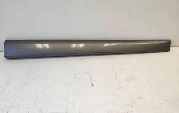 Renault Megane III Front door trim (molding) 801861830R 801867564