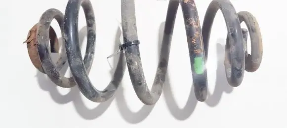 Volkswagen PASSAT B5 Rear coil spring