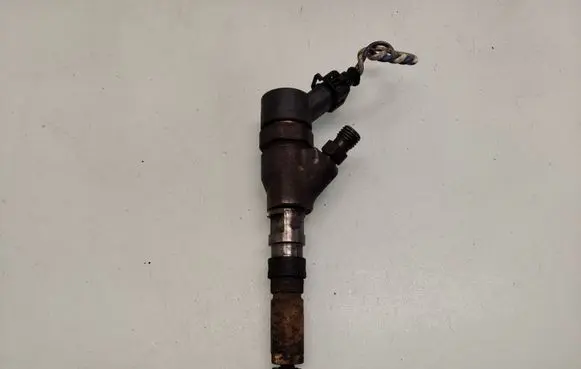 Fiat Scudo Fuel injector 0445110076