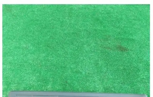 KIA Sportage Front sill trim cover