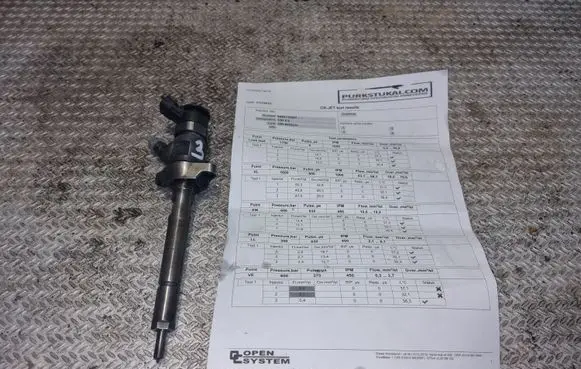 Citroen Berlingo Fuel injector 0445110297