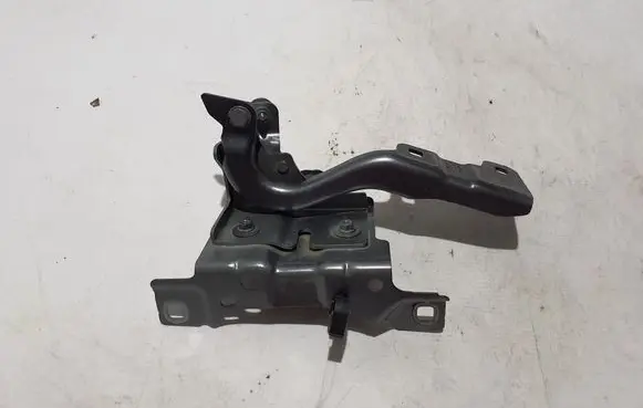 Renault Scenic E-Tech V Engine bonnet/hood hinges 654007659R
