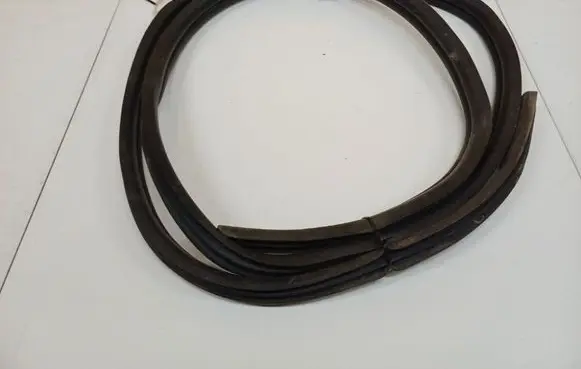 Renault Scenic I Rubber seal rear door