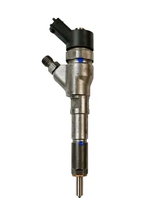 Citroen Berlingo Fuel injector 0445110062 0986435077