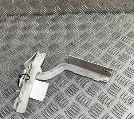 Citroen Jumpy Engine bonnet/hood hinges 791295