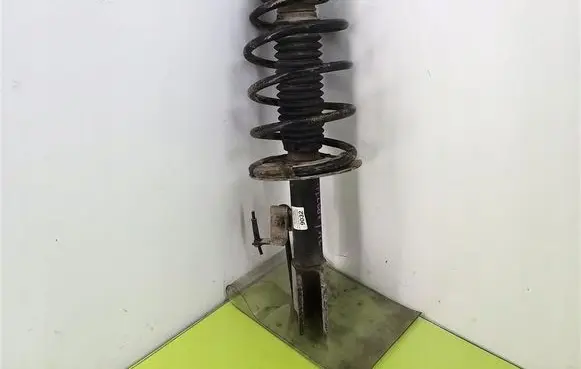 Peugeot 307 Front shock absorber with coil spring