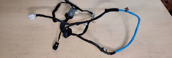 Hyundai i10 Rear door wiring loom 91660B9070