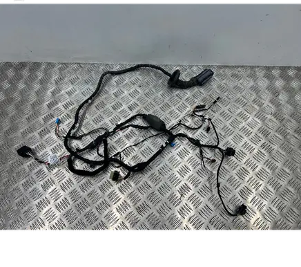 BMW M5 F90 Front door wiring loom 8730190