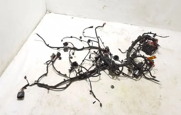 Volvo EX30 Other wiring loom 80002453